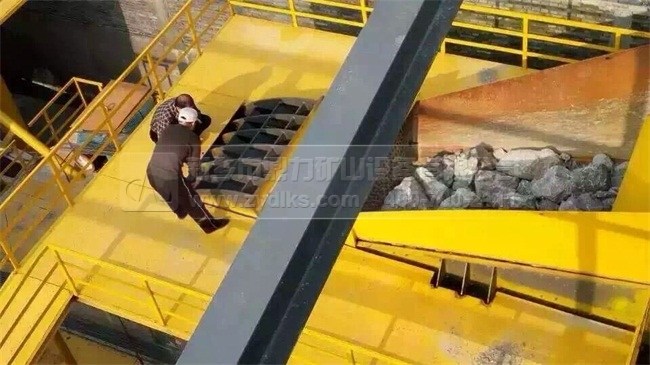 豸